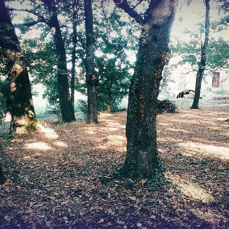 Cascina Bucolica Alpignano