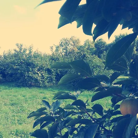 Bed & Breakfast Cascina Bucolica 3*