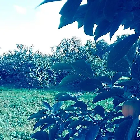 Cascina Bucolica Bed & Breakfast 3*