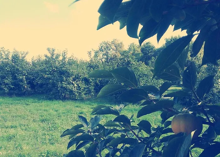 Oda ve Kahvaltı Cascina Bucolica 3*